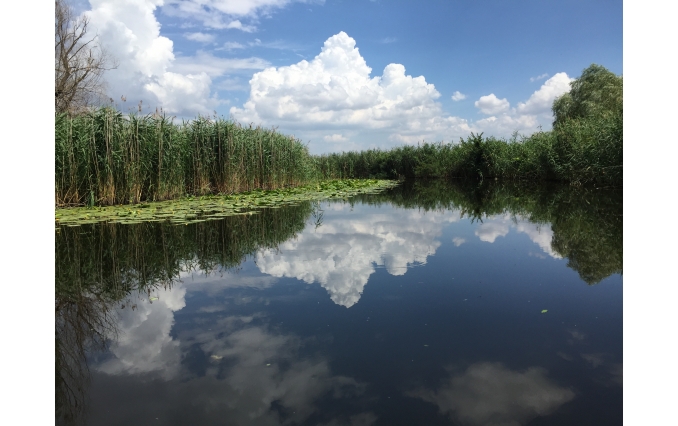 День Народження компанії